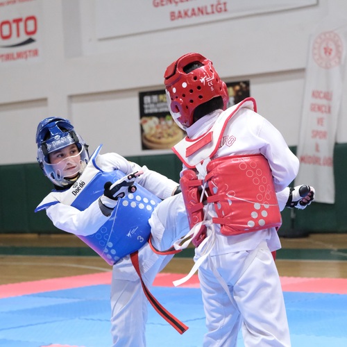 Taekwondo